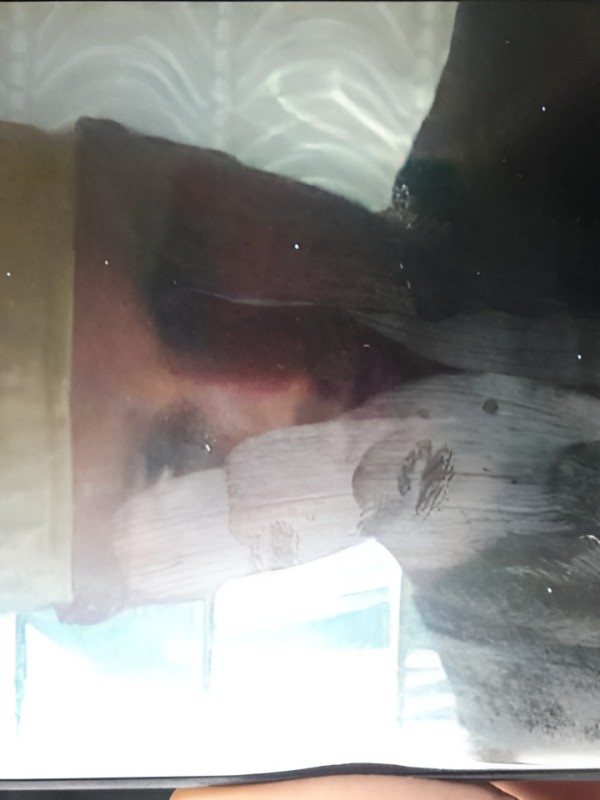 Тамара привлекательная девушка из Саратова цена от 4000 руб